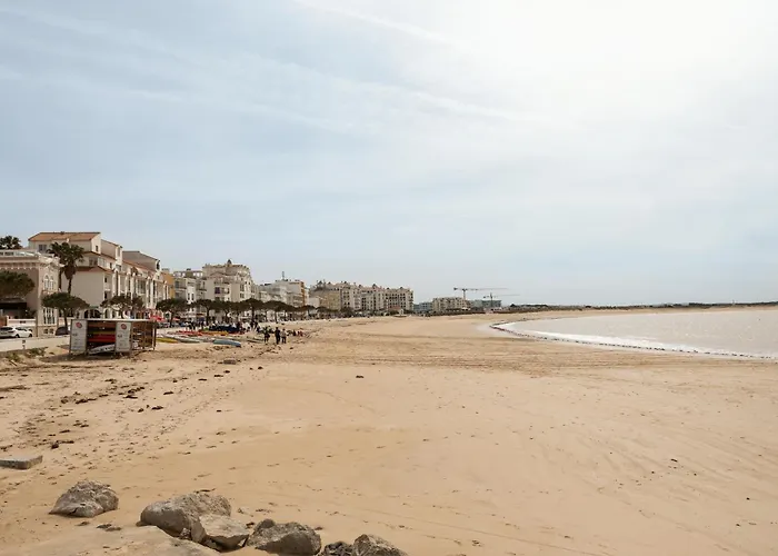 Golden Terrace Delight Apartament *